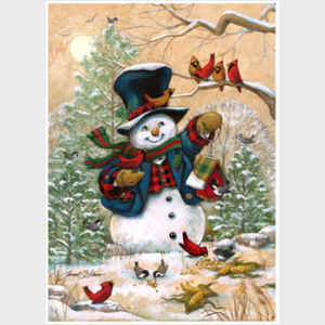 Janet Janet Stever A Snowman Christmas