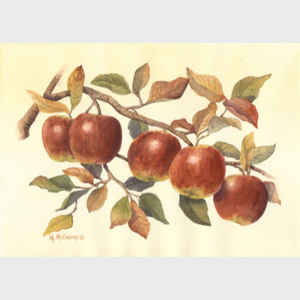 Autumn Apple Branch