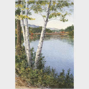 Birch by River