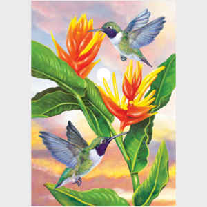 Black Chinned Hummingbirds and Golden Heliconia