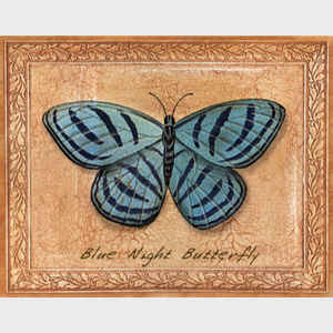 Blue Night Butterfly