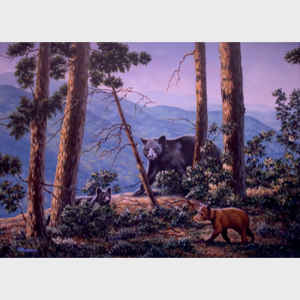 Blue Ridge Bears