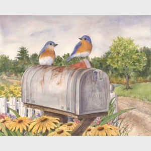 Bluebirds at the Mailbox