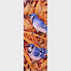 Bluejays and Corn
