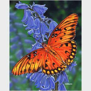 Brilliant Eye Jewel Butterfly