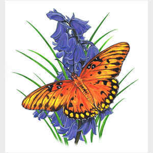 Brilliant Eye Jewel Butterfly II