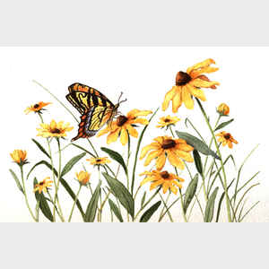 Butterfly and Black-Eyed Susans