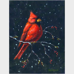 Cardinal   