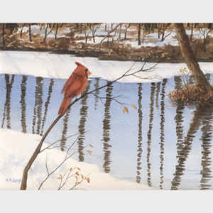 Cardinal Brook