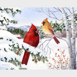 Cardinals and Hemlock Tree