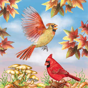 Cardinals in Autumn