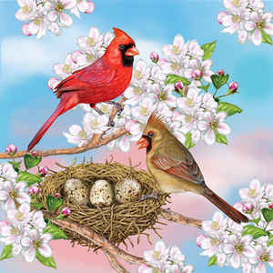 Cardinals in Spring