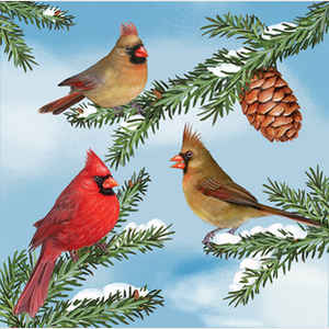 Cardinals in Winter