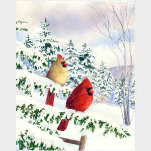 Cedar Farm Cardinals I