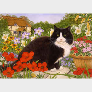 Anne Anne Mortimer Country Cats