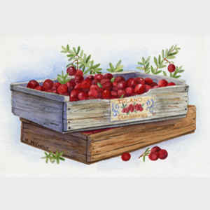 Cranberries by the Crate