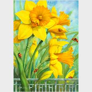 Daffodil Delights