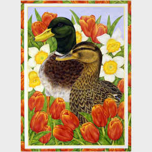 Duck and Tulips