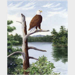 Eagle's Perch