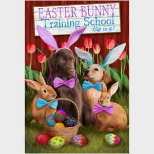 Easter Bunny Training School