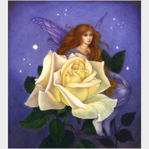 Evening Star Fairy