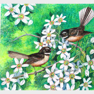 Fantails and Clematis