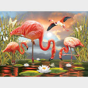 Flamingos - horizontal