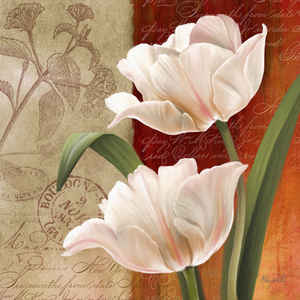French Tulips I