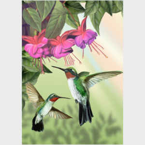Fuchsia and Hummingbirds - vertical