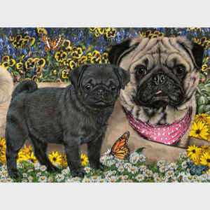 Garden Pugs