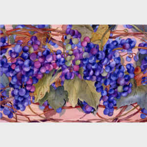 Grapes - horizontal