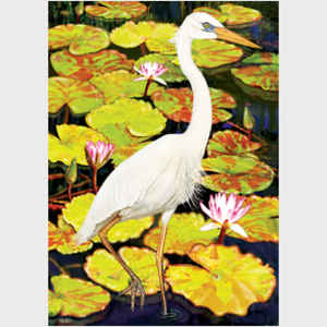 Great White Heron in Water Lilies