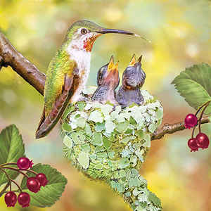 Hummingbird Mother and Nestlings