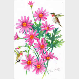 Hummingbirds and Daisies