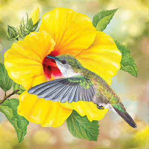 Rosiland Rosiland Solomon Hummingbirds in Springtime