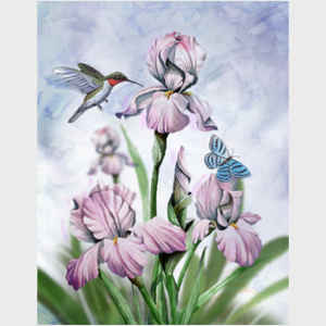 Iris and Hummingbird