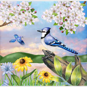 Jays and Apple Blossoms