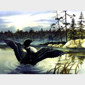 Loon Country