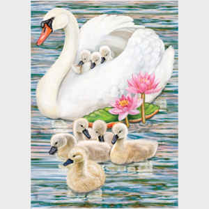 Mother Swan - vertical