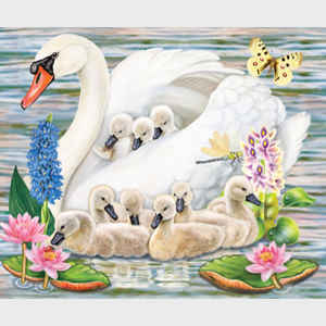 Mother Swan  