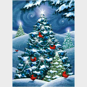 O Christmas Trees