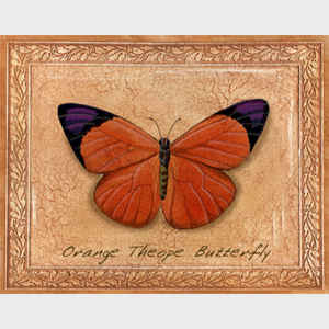 Orange Theope Butterfly