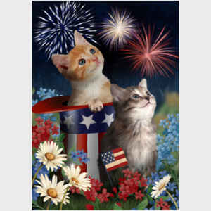 Patriotic Kittens