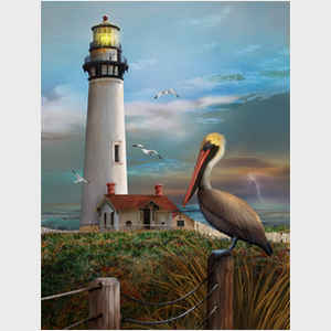 Tom Tom Wood Lighthouses of America