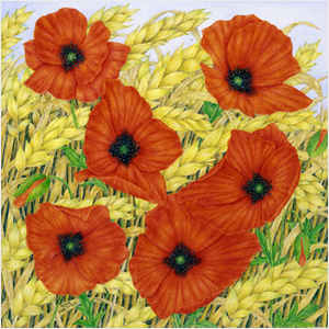 Poppies and Wheat