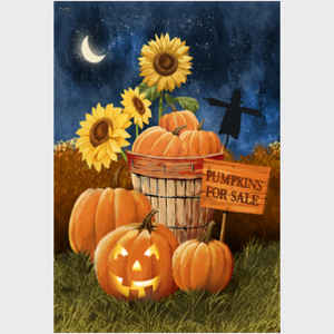 Pumpkins for Sale - Night Sky