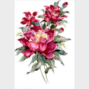 Red Peonies I