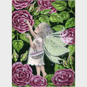 Rose Dew Fairy