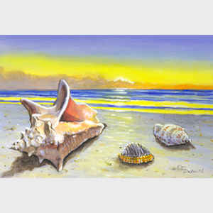 Sea Shells I