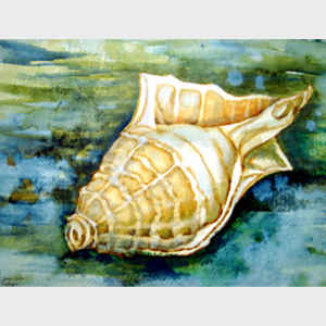 Seashells Inspire Me